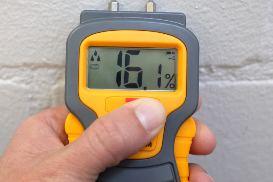Mold Inspection