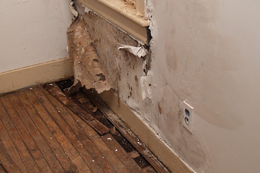 Water Damage Cleanup